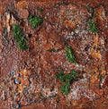 Terre de désert